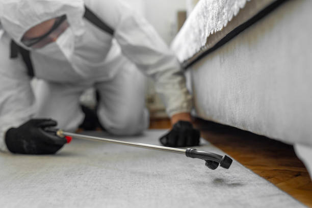 Professional Termite Control technician working in Eastlawn Gardens, PA
