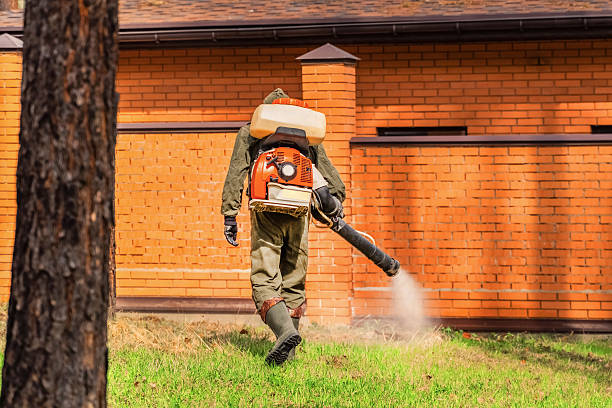 Trusted Ant Control service in Eastlawn Gardens, PA - Nex Pest Control